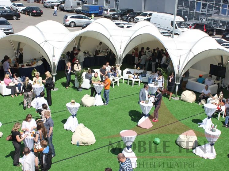 Декор: напольные вазоны с растениями